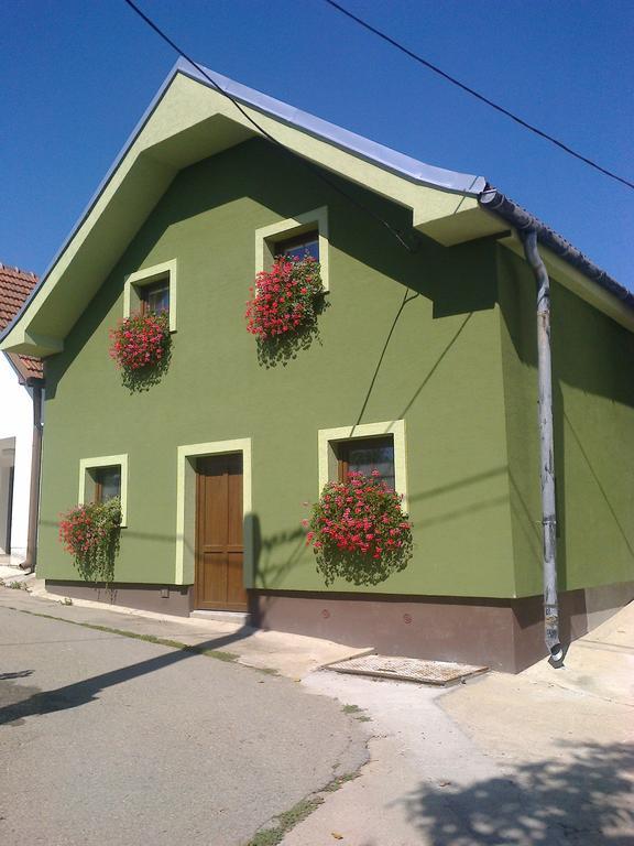 Penzion Andrea Velké Bílovice Exteriér fotografie